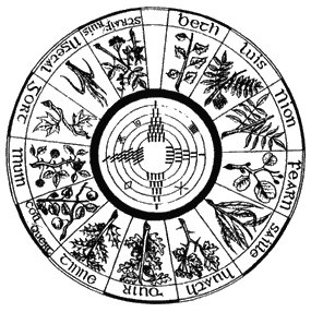 Гороскоп планеты, гороскоп 1988